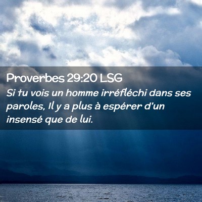 Picture 02 - Proverbes 29:20 LSG - Si tu vois un homme irréfléchi dans ses - Bible Verse Picture