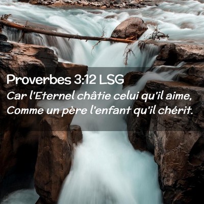 Picture 02 - Proverbes 3:12 LSG - Car l'Eternel châtie celui qu'il aime, Comme un - Bible Verse Picture