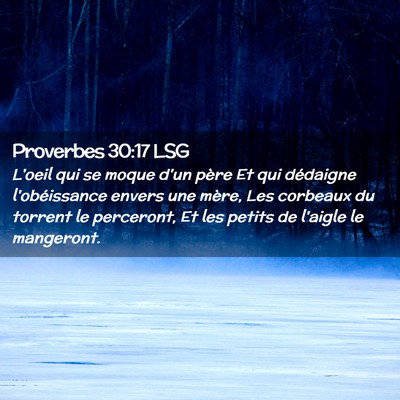 Picture 02 - Proverbes 30:17 LSG - L'oeil qui se moque d'un père Et qui dédaigne - Bible Verse Picture