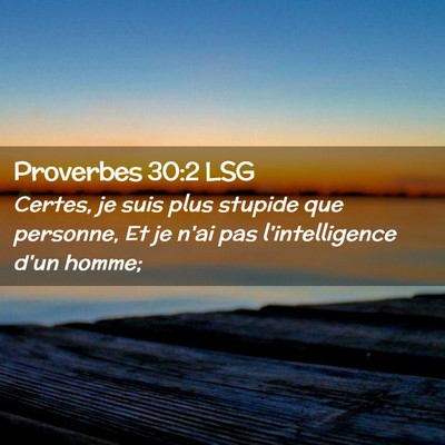 Picture 02 - Proverbes 30:2 LSG - Certes, je suis plus stupide que personne, Et je - Bible Verse Picture