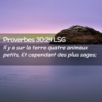 Picture 02 - Proverbes 30:24 LSG - Il y a sur la terre quatre animaux petits, Et - Bible Verse Picture
