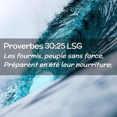 Picture 02 - Proverbes 30:25 LSG - Les fourmis, peuple sans force, Préparent en - Bible Verse Picture
