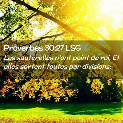 Picture 02 - Proverbes 30:27 LSG - Les sauterelles n'ont point de roi, Et elles - Bible Verse Picture
