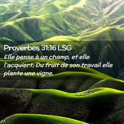 Picture 02 - Proverbes 31:16 LSG - Elle pense à un champ, et elle l'acquiert; Du - Bible Verse Picture