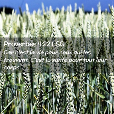 Picture 02 - Proverbes 4:22 LSG - Car c'est la vie pour ceux qui les trouvent, - Bible Verse Picture
