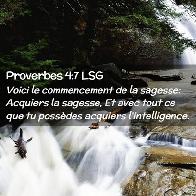 Picture 02 - Proverbes 4:7 LSG - Voici le commencement de la sagesse: Acquiers la - Bible Verse Picture
