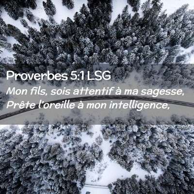 Picture 02 - Proverbes 5:1 LSG - Mon fils, sois attentif à ma sagesse, Prête - Bible Verse Picture