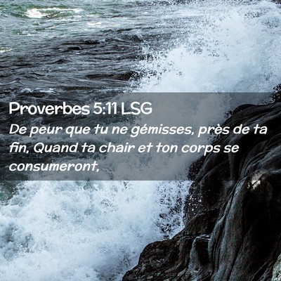 Picture 02 - Proverbes 5:11 LSG - De peur que tu ne gémisses, près de ta fin, - Bible Verse Picture