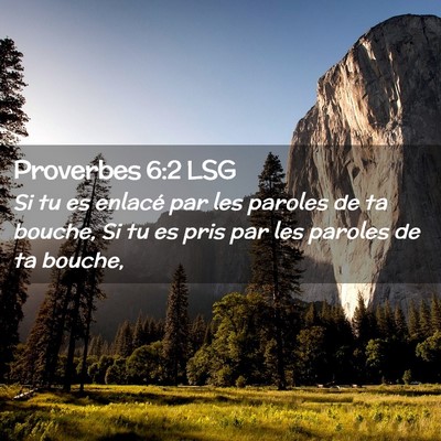 Picture 02 - Proverbes 6:2 LSG - Si tu es enlacé par les paroles de ta bouche, Si - Bible Verse Picture