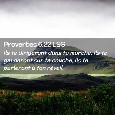 Picture 02 - Proverbes 6:22 LSG - Ils te dirigeront dans ta marche, Ils te - Bible Verse Picture