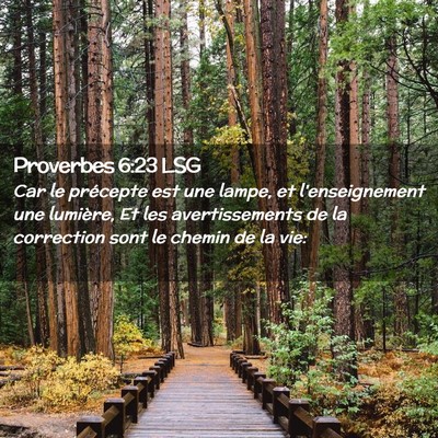 Picture 02 - Proverbes 6:23 LSG - Car le précepte est une lampe, et l'enseignement - Bible Verse Picture