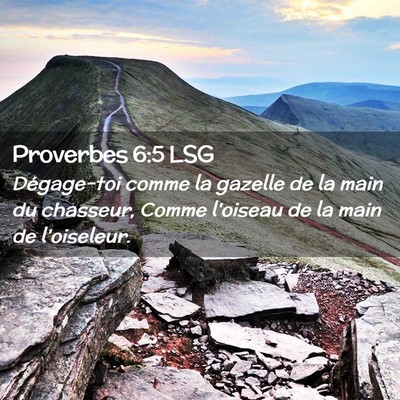 Picture 02 - Proverbes 6:5 LSG - Dégage-toi comme la gazelle de la main du - Bible Verse Picture