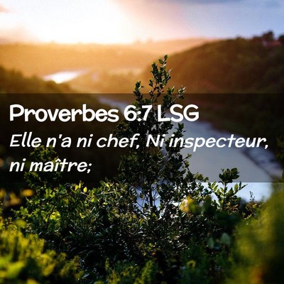 Picture 02 - Proverbes 6:7 LSG - Elle n'a ni chef, Ni inspecteur, ni - Bible Verse Picture