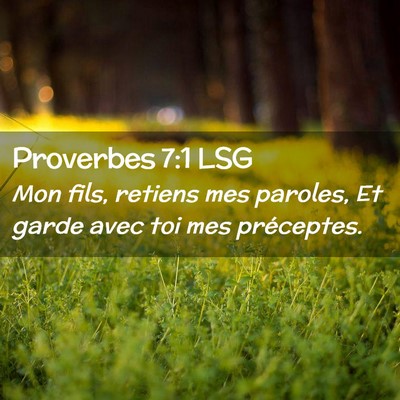 Picture 02 - Proverbes 7:1 LSG - Mon fils, retiens mes paroles, Et garde avec toi - Bible Verse Picture