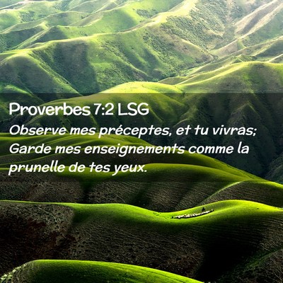 Picture 02 - Proverbes 7:2 LSG - Observe mes préceptes, et tu vivras; Garde mes - Bible Verse Picture