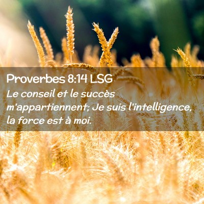 Picture 02 - Proverbes 8:14 LSG - Le conseil et le succès m'appartiennent; Je suis - Bible Verse Picture