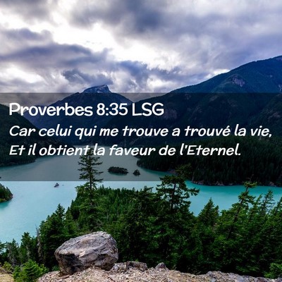Picture 02 - Proverbes 8:35 LSG - Car celui qui me trouve a trouvé la vie, Et il - Bible Verse Picture