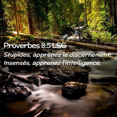 Picture 02 - Proverbes 8:5 LSG - Stupides, apprenez le discernement; Insensés, - Bible Verse Picture