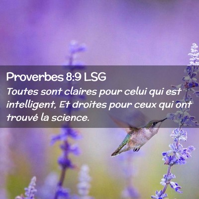 Picture 02 - Proverbes 8:9 LSG - Toutes sont claires pour celui qui est - Bible Verse Picture