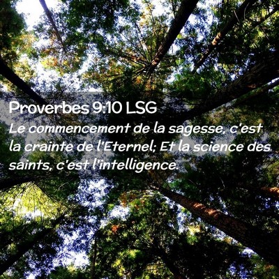 Picture 02 - Proverbes 9:10 LSG - Le commencement de la sagesse, c'est la crainte - Bible Verse Picture