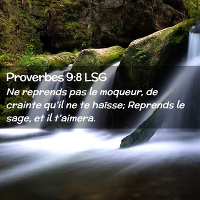 Picture 02 - Proverbes 9:8 LSG - Ne reprends pas le moqueur, de crainte qu'il ne - Bible Verse Picture