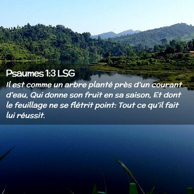 Picture 02 - Psaumes 1:3 LSG - Il est comme un arbre planté près d'un courant - Bible Verse Picture