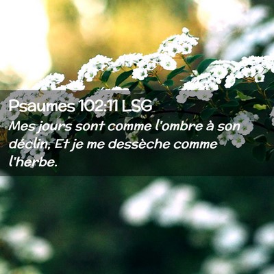 Picture 02 - Psaumes 102:11 LSG - Mes jours sont comme l'ombre à son déclin, Et - Bible Verse Picture