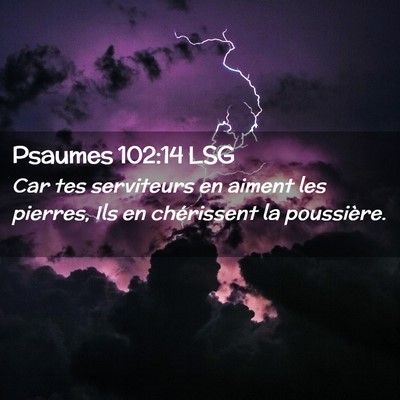 Picture 02 - Psaumes 102:14 LSG - Car tes serviteurs en aiment les pierres, Ils en - Bible Verse Picture