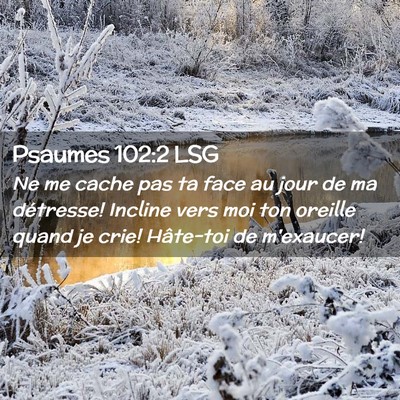 Picture 02 - Psaumes 102:2 LSG - Ne me cache pas ta face au jour de ma détresse! - Bible Verse Picture