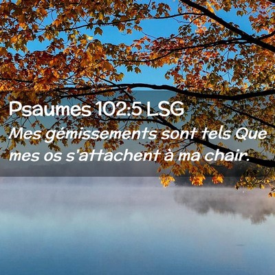 Picture 02 - Psaumes 102:5 LSG - Mes gémissements sont tels Que mes os - Bible Verse Picture