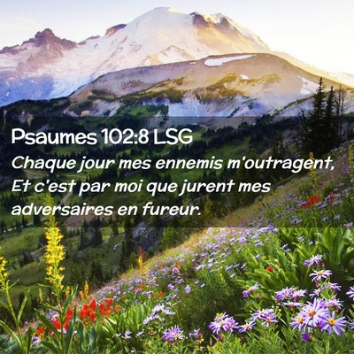 Picture 02 - Psaumes 102:8 LSG - Chaque jour mes ennemis m'outragent, Et c'est par - Bible Verse Picture