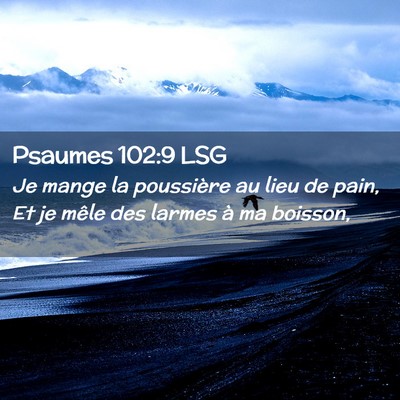 Picture 02 - Psaumes 102:9 LSG - Je mange la poussière au lieu de pain, Et je - Bible Verse Picture