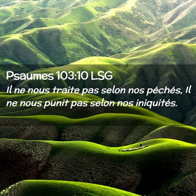 Picture 02 - Psaumes 103:10 LSG - Il ne nous traite pas selon nos péchés, Il ne - Bible Verse Picture