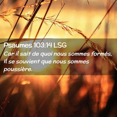 Picture 02 - Psaumes 103:14 LSG - Car il sait de quoi nous sommes formés, Il se - Bible Verse Picture