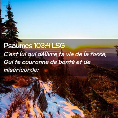 Picture 02 - Psaumes 103:4 LSG - C'est lui qui délivre ta vie de la fosse, Qui te - Bible Verse Picture