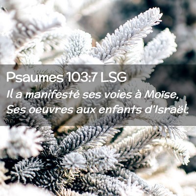 Picture 02 - Psaumes 103:7 LSG - Il a manifesté ses voies à Moïse, Ses oeuvres - Bible Verse Picture