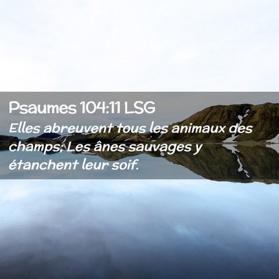 Picture 02 - Psaumes 104:11 LSG - Elles abreuvent tous les animaux des champs; Les - Bible Verse Picture