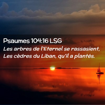 Picture 02 - Psaumes 104:16 LSG - Les arbres de l'Eternel se rassasient, Les - Bible Verse Picture