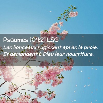 Picture 02 - Psaumes 104:21 LSG - Les lionceaux rugissent après la proie, Et - Bible Verse Picture