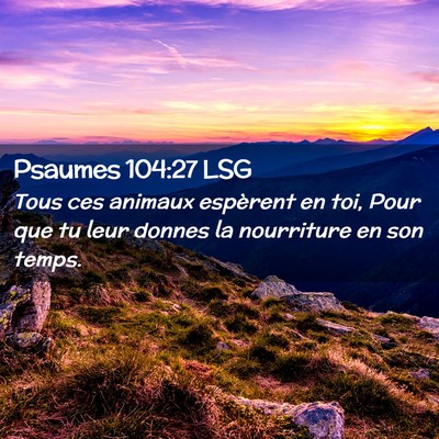 Picture 02 - Psaumes 104:27 LSG - Tous ces animaux espèrent en toi, Pour que tu - Bible Verse Picture