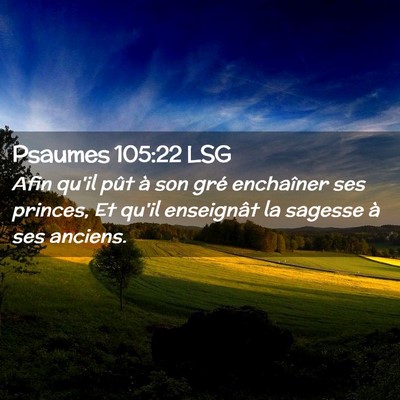 Picture 02 - Psaumes 105:22 LSG - Afin qu'il pût à son gré enchaîner ses - Bible Verse Picture