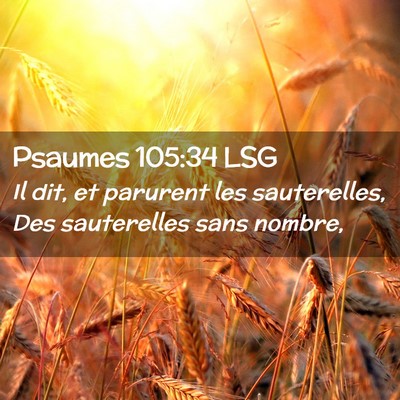 Picture 02 - Psaumes 105:34 LSG - Il dit, et parurent les sauterelles, Des - Bible Verse Picture
