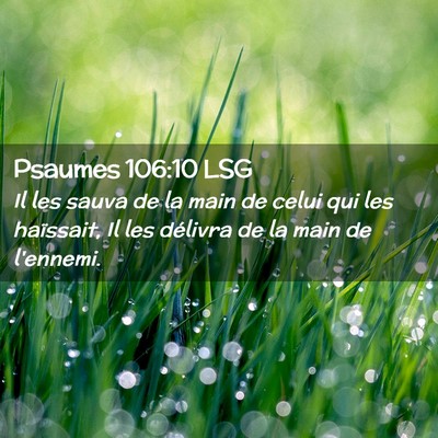 Picture 02 - Psaumes 106:10 LSG - Il les sauva de la main de celui qui les - Bible Verse Picture