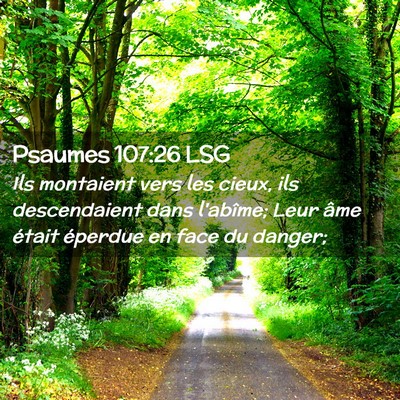 Picture 02 - Psaumes 107:26 LSG - Ils montaient vers les cieux, ils descendaient - Bible Verse Picture