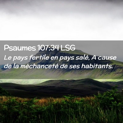 Picture 02 - Psaumes 107:34 LSG - Le pays fertile en pays salé, A cause de la - Bible Verse Picture