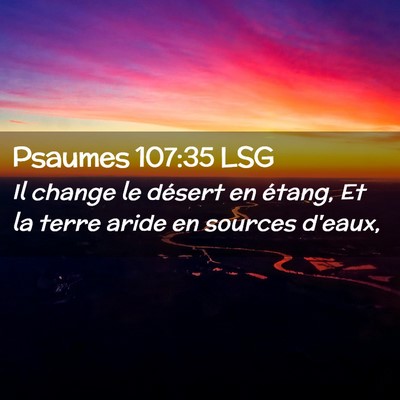 Picture 02 - Psaumes 107:35 LSG - Il change le désert en étang, Et la terre aride - Bible Verse Picture