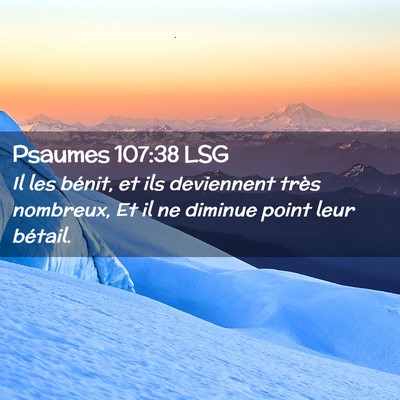 Picture 02 - Psaumes 107:38 LSG - Il les bénit, et ils deviennent très nombreux, - Bible Verse Picture