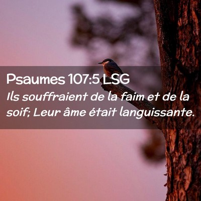 Picture 02 - Psaumes 107:5 LSG - Ils souffraient de la faim et de la soif; Leur - Bible Verse Picture