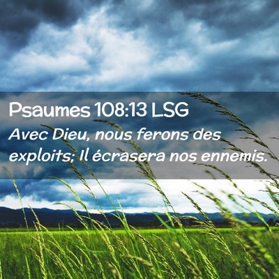 Picture 02 - Psaumes 108:13 LSG - Avec Dieu, nous ferons des exploits; Il écrasera - Bible Verse Picture