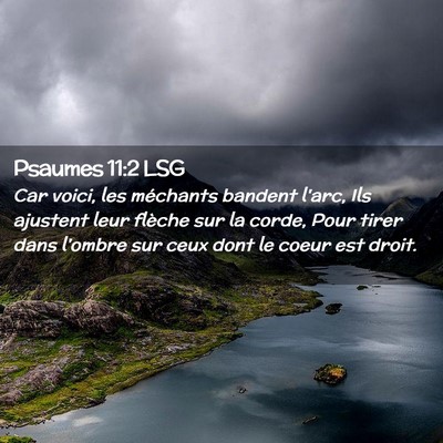 Picture 02 - Psaumes 11:2 LSG - Car voici, les méchants bandent l'arc, Ils - Bible Verse Picture